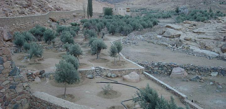 Voyage sur-mesure, Wadi Al Arbiyeen